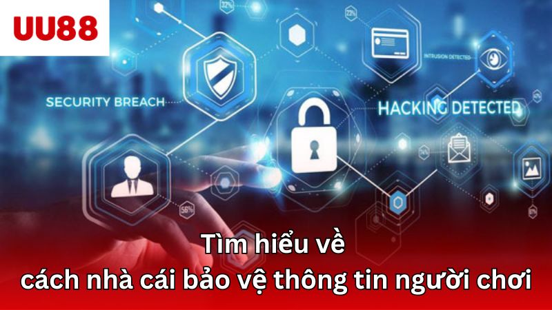 Tìm hiểu về cách nhà cái bảo vệ thông tin người chơi