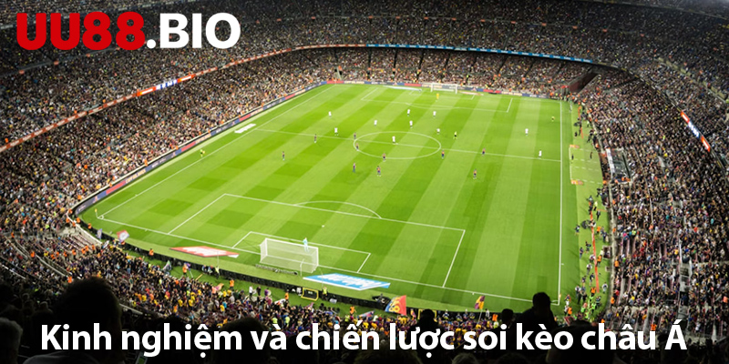 Chiến lược và bí quyết chơi kèo châu Á dành cho tân thủ