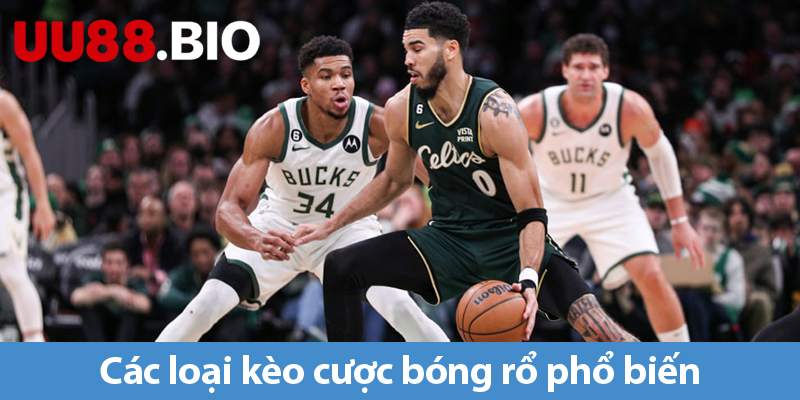 Cá cược bóng rổ - Khám phá các loại kèo cược và cần tránh các sai lầm